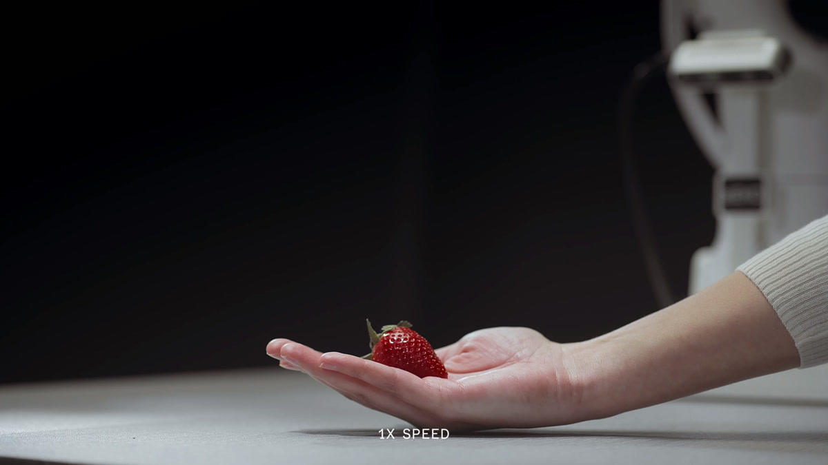 Robot receiving strawberry from human hand